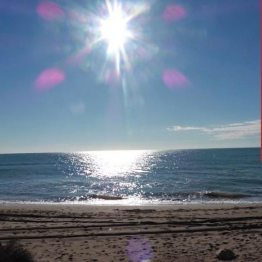  Annonces SAUVIAN : Ground | VIAS-PLAGE (34450) | 40 m2 | 105 000 &euro; 