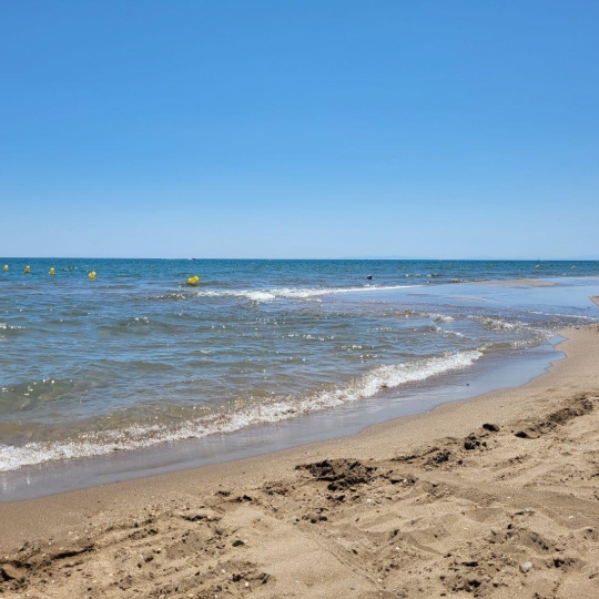  Annonces SAUVIAN : Local / Bureau | PORTIRAGNES-PLAGE (34420) | 50 m2 | 59 000 &euro; 