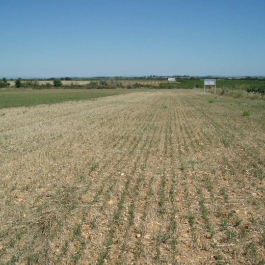  Annonces SAUVIAN : Terrain | PORTIRAGNES-PLAGE (34420) | 0 m2 | 64 200 &euro; 
