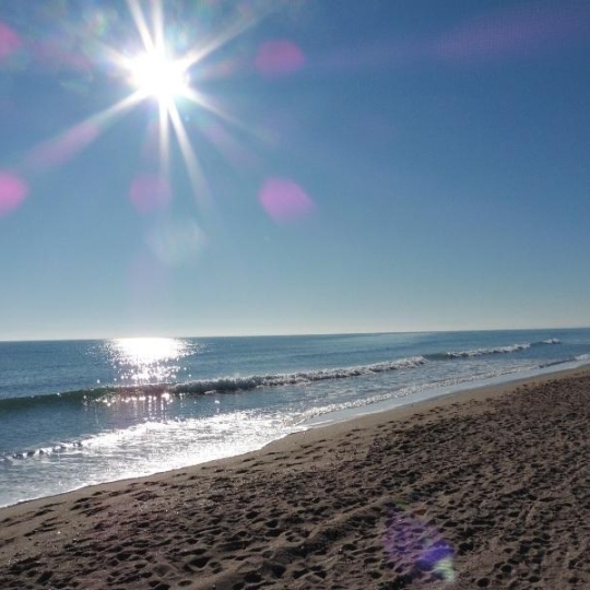  Annonces SAUVIAN : Maison / Villa | PORTIRAGNES-PLAGE (34420) | 65 m2 | 252 000 &euro; 