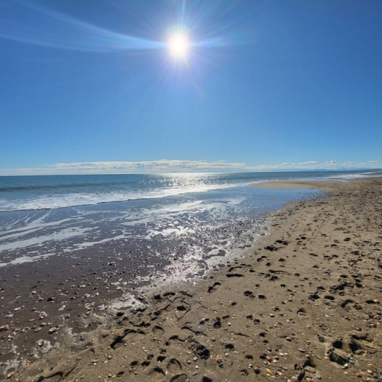  Annonces SAUVIAN : Maison / Villa | PORTIRAGNES-PLAGE (34420) | 65 m2 | 241 000 &euro; 