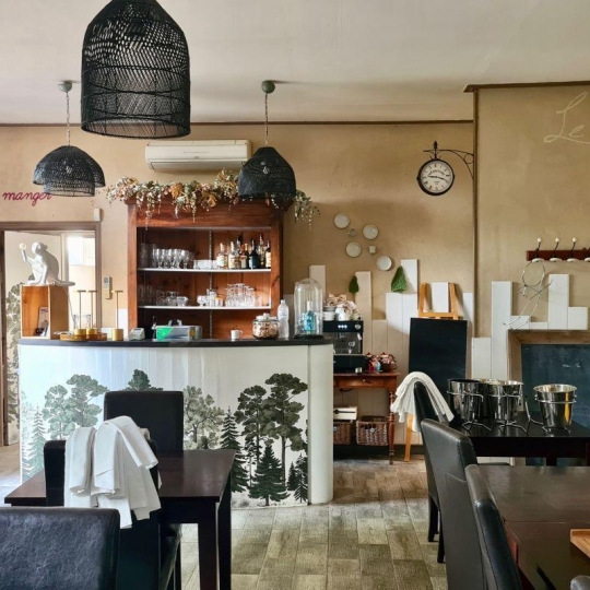  Annonces SAUVIAN : Commerces | BEZIERS (34500) | 250 m2 | 255 200 &euro; 