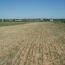  Annonces SAUVIAN : Terrain | PORTIRAGNES-PLAGE (34420) | 0 m2 | 64 200 &euro; 