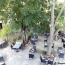  Annonces SAUVIAN : Commerces | BEZIERS (34500) | 250 m2 | 255 200 &euro; 