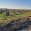  Annonces SAUVIAN : Terrain | PORTIRAGNES (34420) | 0 m2 | 55 000 &euro; 
