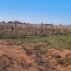  Annonces SAUVIAN : Terrain | PORTIRAGNES (34420) | 0 m2 | 55 000 &euro; 