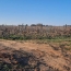  Annonces SAUVIAN : Terrain | PORTIRAGNES (34420) | 0 m2 | 55 000 &euro; 