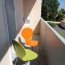  Annonces SAUVIAN : Appartement | VALRAS-PLAGE (34350) | 29 m2 | 79 000 &euro; 