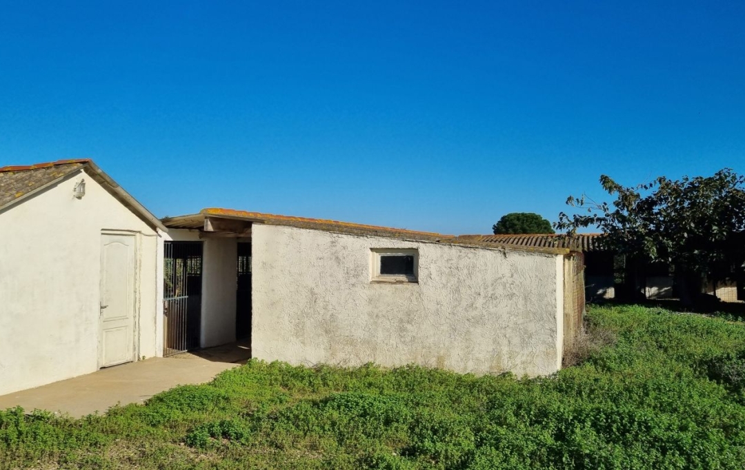 Annonces SAUVIAN : Maison / Villa | BEZIERS (34500) | 148 m2 | 449 000 &euro; 