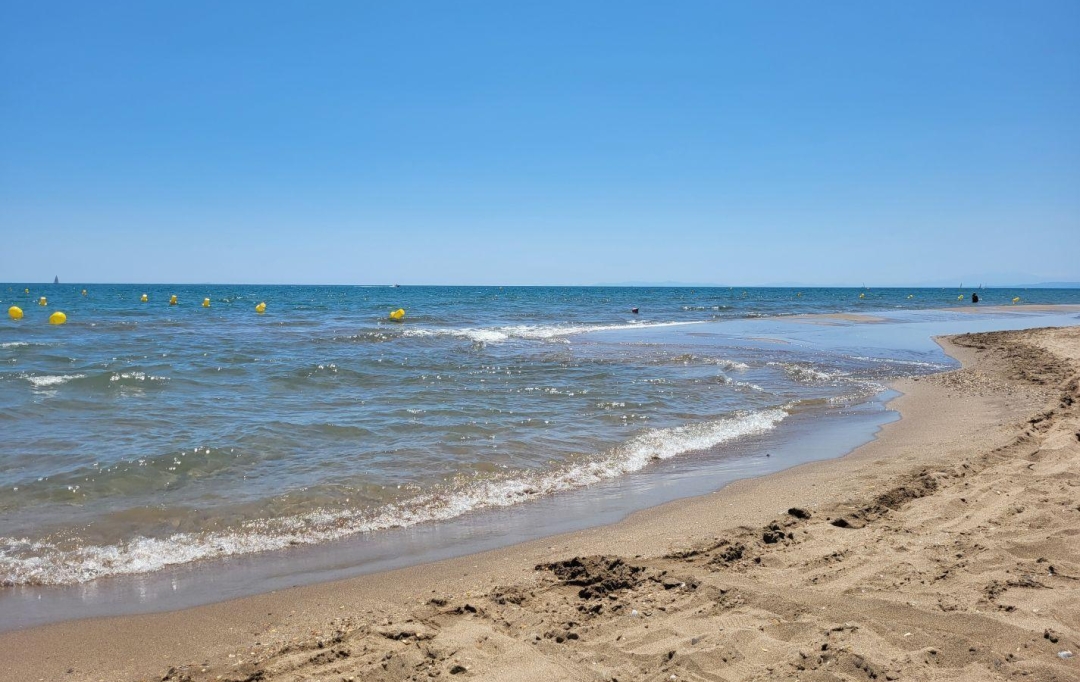 Annonces SAUVIAN : Local / Bureau | PORTIRAGNES-PLAGE (34420) | 50 m2 | 59 000 &euro; 