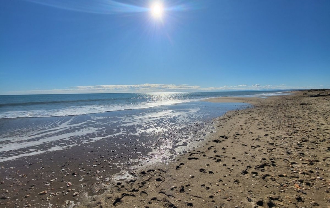 Annonces SAUVIAN : Maison / Villa | PORTIRAGNES-PLAGE (34420) | 65 m2 | 241 000 &euro; 