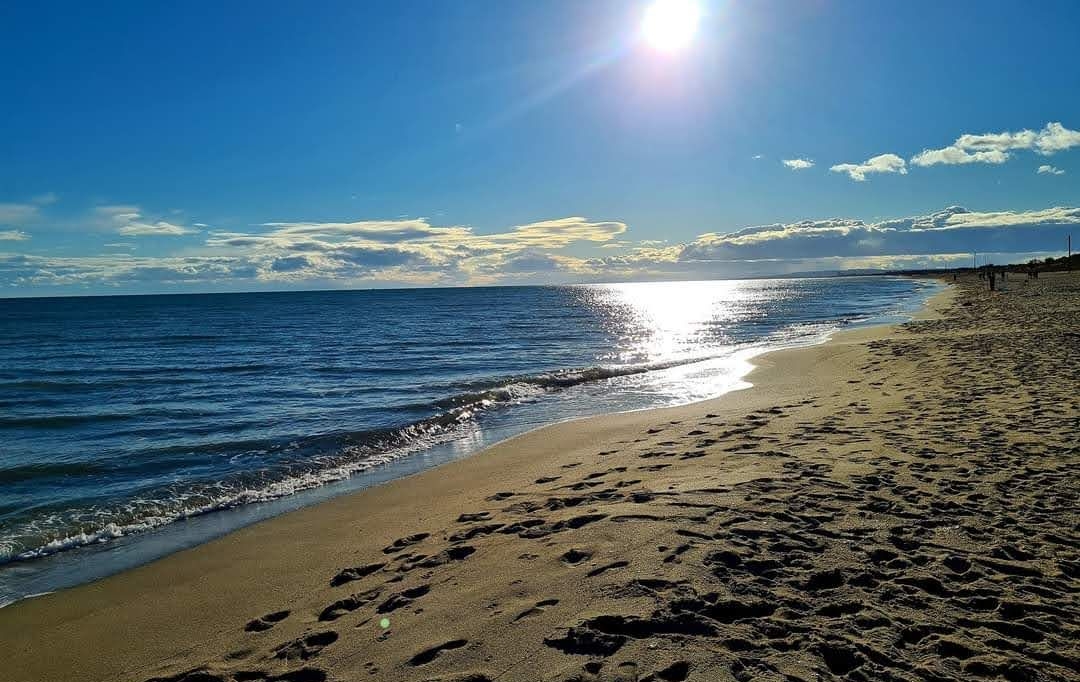 Annonces SAUVIAN : Maison / Villa | PORTIRAGNES-PLAGE (34420) | 45 m2 | 195 000 &euro; 