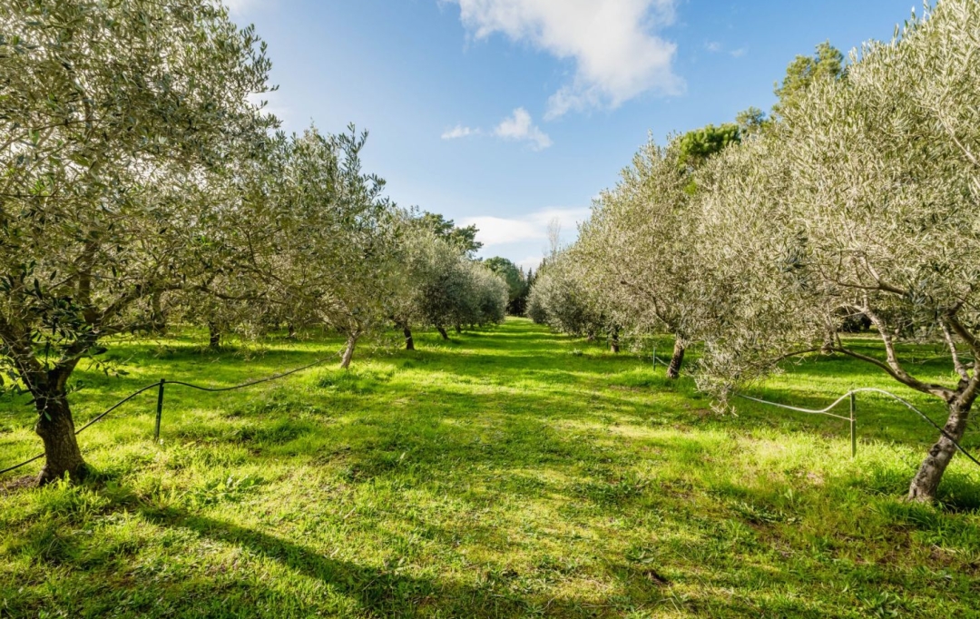 Annonces SAUVIAN : Maison / Villa | BEZIERS (34500) | 335 m2 | 940 000 &euro; 