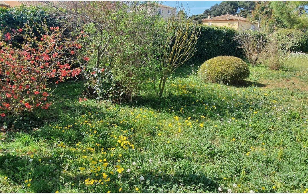 Annonces SAUVIAN : Maison / Villa | LESPIGNAN (34710) | 190 m2 | 499 000 &euro; 